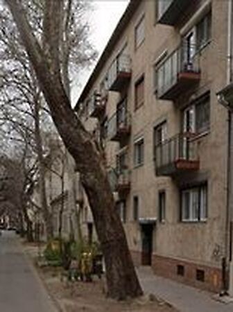 Eladó lakás Szeged