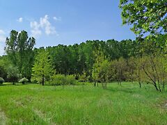 Eladó földterület Monor, Külterület