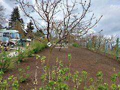 Eladó földterület Tahitótfalu