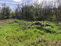 Eladó földterület Balatonalmádi, Öreghegy 6. kép