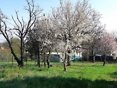 Eladó földterület Budaörs 5. kép