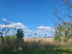 Eladó földterület Balatongyörök 4. kép