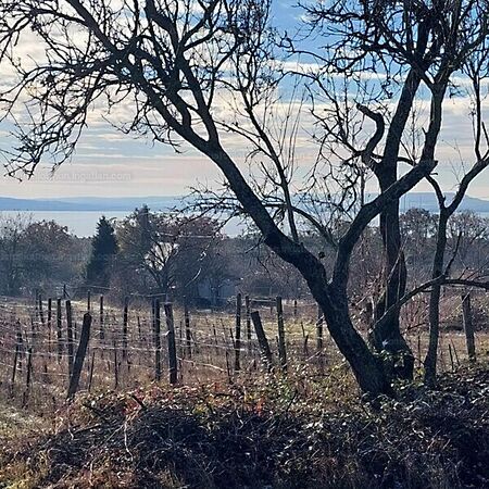 Eladó földterület Balatonakali