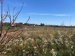 Eladó földterület Balatonendréd 4. kép