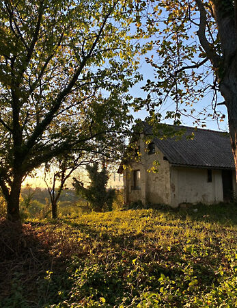 Eladó földterület Zalaegerszeg