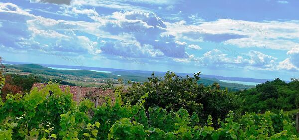 Eladó nyaraló Balatonszőlős