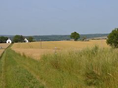 Eladó földterület Balatonendréd 6. kép