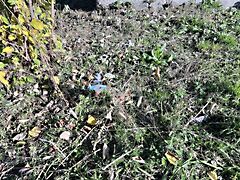 Eladó ház Pécsvárad