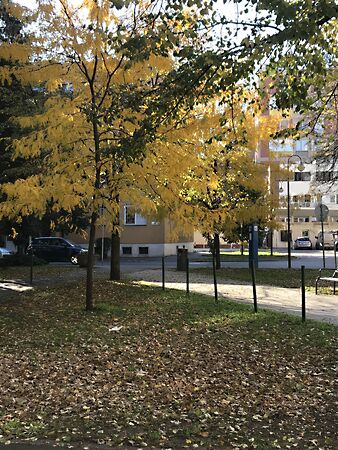 Kiadó lakás Debrecen, Belváros