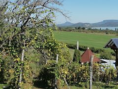 Eladó nyaraló Balatongyörök