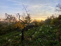 Eladó földterület Budaörs