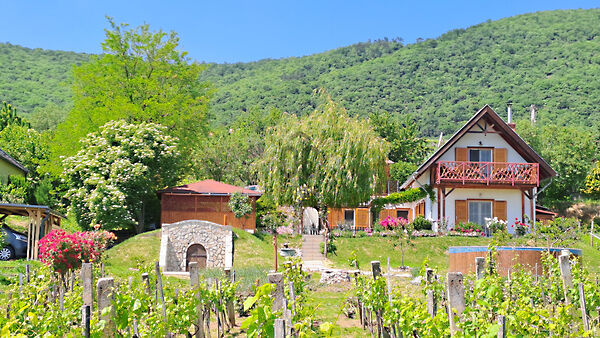 Eladó nyaraló Balatonederics