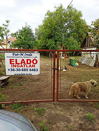 Eladó földterület Hódmezővásárhely, Új-Kishomok