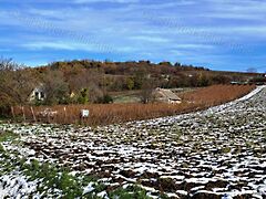 Eladó ipari Balatoncsicsó 3. kép