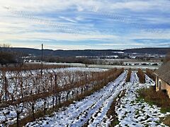 Eladó ipari Balatoncsicsó 6. kép