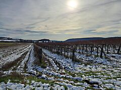 Eladó földterület Balatoncsicsó 2. kép