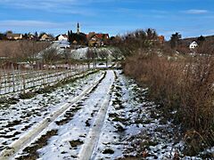 Eladó földterület Balatoncsicsó 4. kép