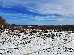 Eladó földterület Balatoncsicsó 3. kép