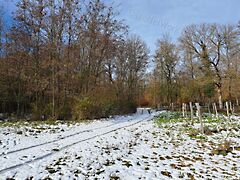 Eladó földterület Balatoncsicsó 4. kép