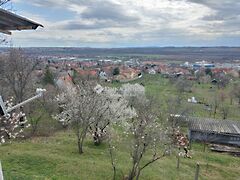 Eladó földterület Pécs