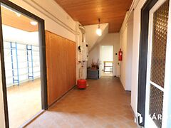 Kiadó üzleti Algyő