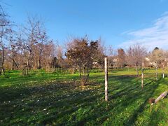 Eladó földterület Balatonalmádi 4. kép