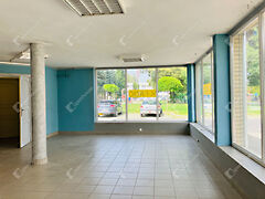 Kiadó üzleti Lenti