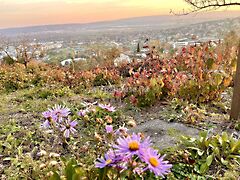 Eladó földterület Budaörs