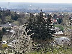 Eladó földterület Budapest, XI. kerület, Pösingermajor 2. kép