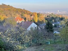 Eladó földterület Budapest, XI. kerület, Pösingermajor 3. kép