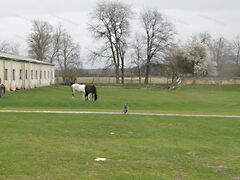 Eladó földterület Zalahaláp