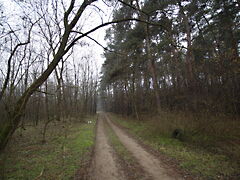 Eladó földterület Debrecen, Szikigyakor