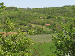 Eladó földterület Tapolca 3. kép