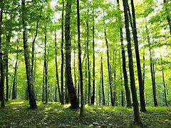 Eladó földterület Balatonudvari