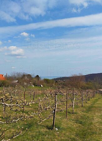 Eladó nyaraló Balatonalmádi