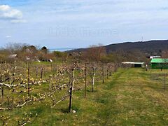 Eladó nyaraló Balatonalmádi 4. kép