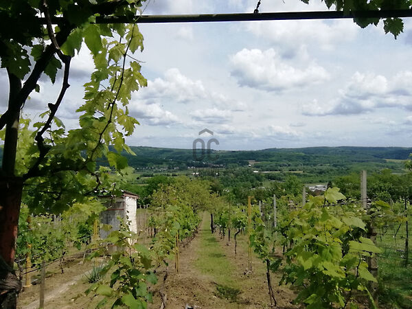 Eladó nyaraló Zalaegerszeg