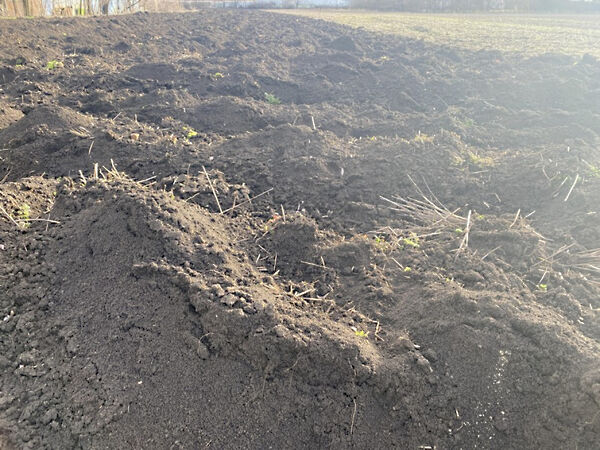 Eladó földterület Hódmezővásárhely