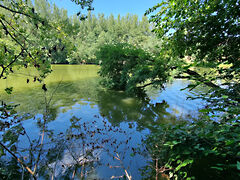 Eladó földterület Békésszentandrás