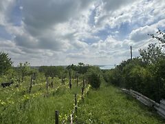 Eladó földterület Balatonalmádi