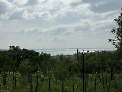 Eladó földterület Balatonalmádi 4. kép