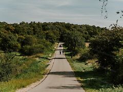 Eladó földterület Balatonszőlős 2. kép