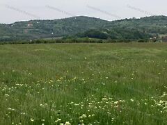 Eladó földterület Balatonszőlős