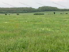 Eladó földterület Balatonszőlős 6. kép