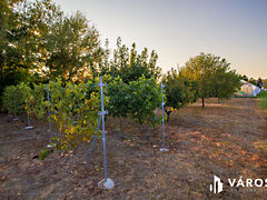 Eladó földterület Győr