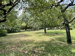 Eladó földterület Budakeszi