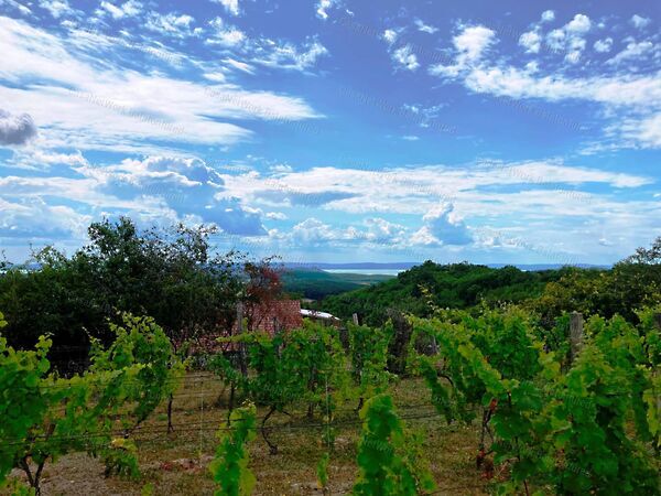 Eladó nyaraló Balatonszőlős