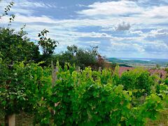 Eladó nyaraló Balatonszőlős 4. kép