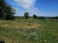 Eladó földterület Balatonőszöd 6. kép