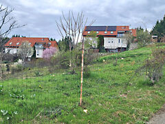 Eladó földterület Pécs, Donátus